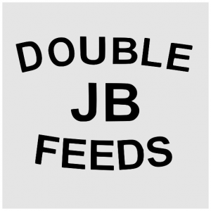Double JB Logo - Orion Business Design