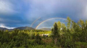 Website and Graphic Design in Prince George, District Fraser-Fort George