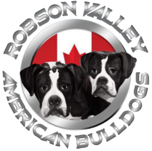 Robson Valley Bulldogs